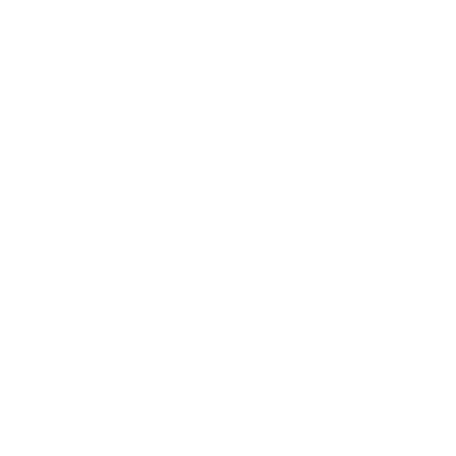 logo 500x500